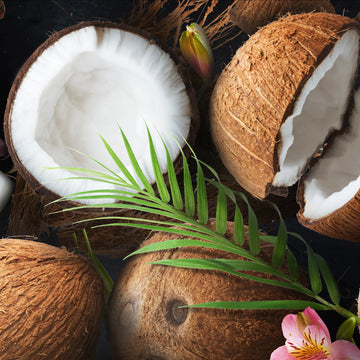 Coconut