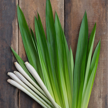 Lemongrass