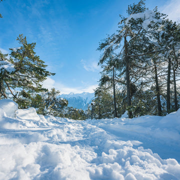 First Snow