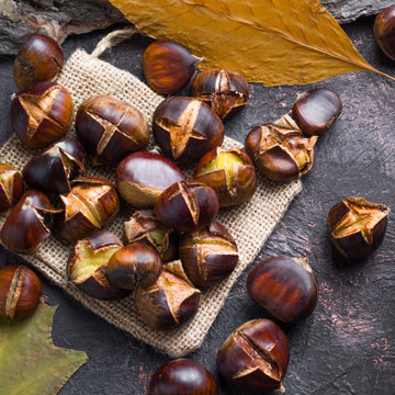 Roasted Chestnut