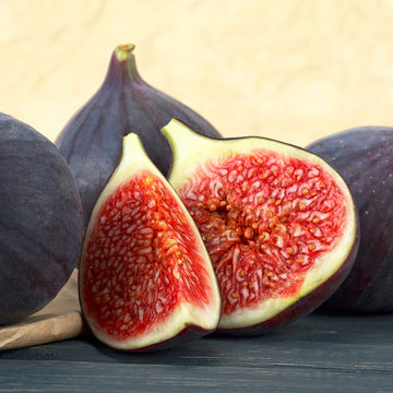 Mediterranean Fig